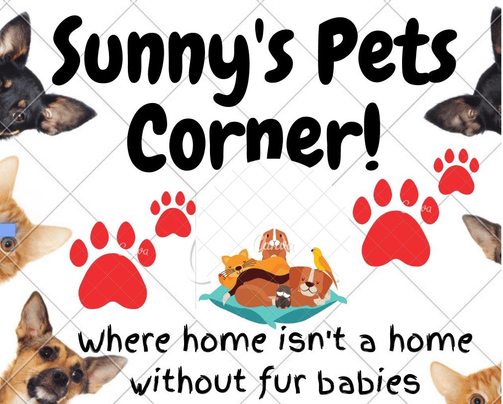 Sunny's Pet Corner